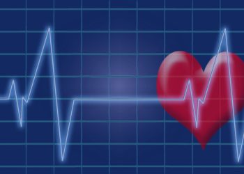 miniPUMP：真正的心臟細胞驅動的微小機械「心臟」