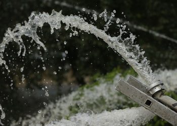 Coyote Valley土地恢復項目幫助補充南灣地下水