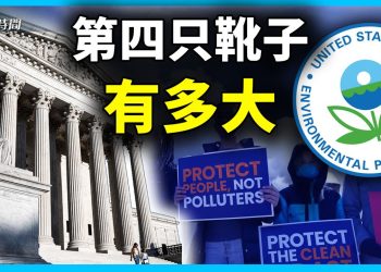 高院第四考:環保署被告-影響最大的懸案