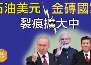 石油美元/ 金磚團家裂痕擴大中