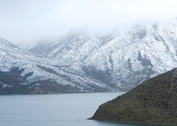 灣區本週將出現今年目前最冷天氣