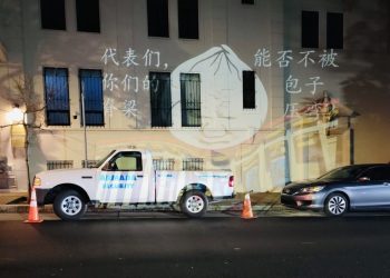湾区华人中领馆前呼吁人大代表拒投习近平