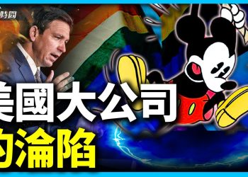 美國大公司和迪士尼成「價值衝突」的戰場