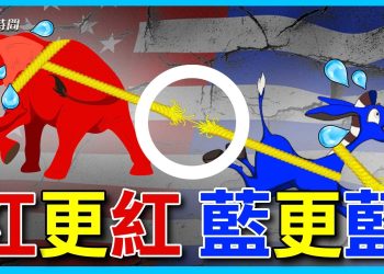 佛州全面規範教育 紐約全州禁煤氣爐子 幹嘛呢？