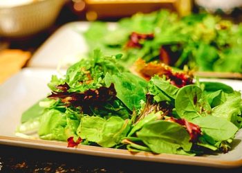 素食者的注意事項二