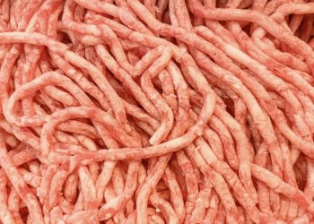 人造肉安全嗎？