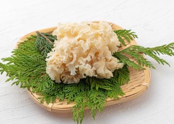 銀耳補鈣增加膠原蛋白，該怎麼煮銀耳湯？