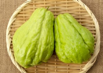 佛手瓜栽培的好處？黃瓜苦可以吃嗎？