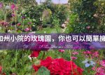 希望之聲 - FM96.1 灣區台