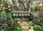 希望之聲 - FM96.1 灣區台