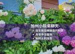 希望之聲 - FM96.1 灣區台 希望之聲 - FM96.1 灣區台