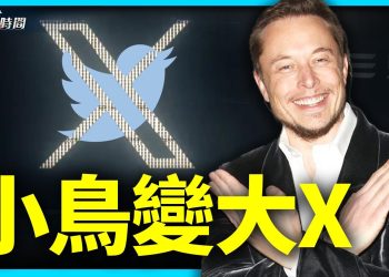 小鳥飛走、大叉入住，推特什麼情況？