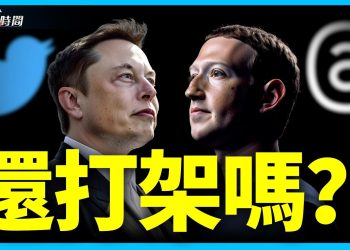 平台大決戰 小鳥戰線條
