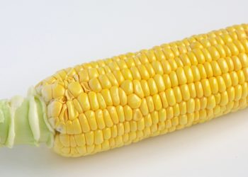 玉米怎麼吃？