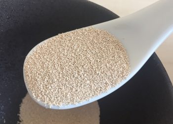 營養酵母