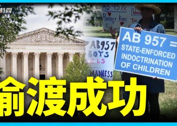加州957法案偷渡成功 7大看點