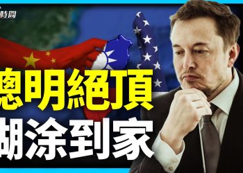 馬斯克談台灣 聰明到頂 糊塗到家