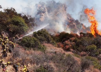 森林大火安全與準備作業：PG&E 企業基金會與加州消防基金會宣佈森林大火安全補助款捐助