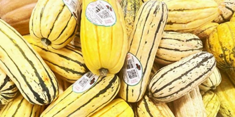 Delicata 南瓜。（大紀元時報）