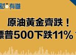希望之聲 - FM96.1 灣區台
