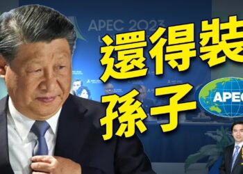 APEC在即，中共再次披上羊皮扮清純
