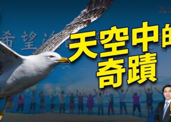民兵對官軍，希望之聲打造廣播界的奇蹟（一）
