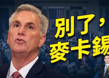 前眾院議長宣佈辭去眾院議員 什麼情況？