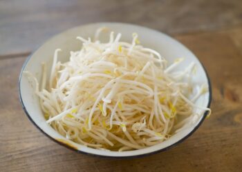 益壽第一食材黃豆芽