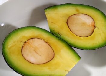 牧草筍怎麼種植？牛油果如何減少落花？