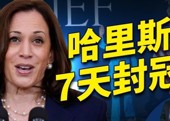 民主黨走網絡路線，7天內給哈里斯「封冕」