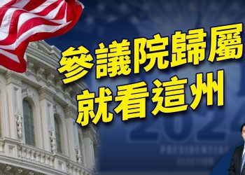 11月大選哪個黨奪得參議院，就在這個州！
