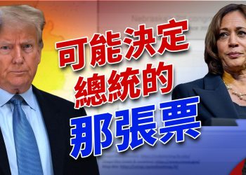 為什麼內布拉斯加第二選區的選舉人票可能定乾坤！｜選情｜2024美國大選｜方偉時間 10.07.2024