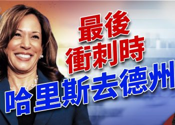 搖擺州選情最關鍵時，哈里斯跑去德州，為什麼？｜2024美國大選｜方偉時間 10.25.2024
