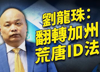 挑戰加州禁看ID法律，劉龍珠律師說「分分鐘有結果」！｜方偉時間 特別專訪節目 10.30.2024