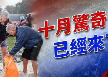 馬斯克捅破窗戶紙，颶風米爾頓來襲！｜選情｜2024美國大選｜方偉時間 10.09.2024