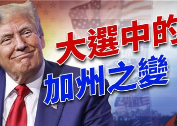 2024大選，加州開始向右轉，但是存在一個大問題…｜2024美國大選｜方偉時間 ｜ 11.17.2024