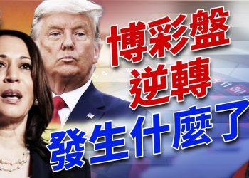 博彩指數走向發生逆轉 選盤發生什麼變化了？！｜2024美國大選｜方偉時間 11.02.2024