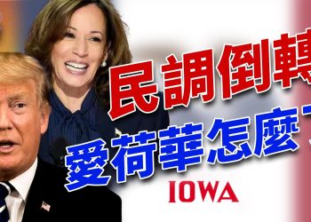 哈里斯民調突然倒轉，誰看得懂？｜2024美國大選｜方偉時間 11.04.2024