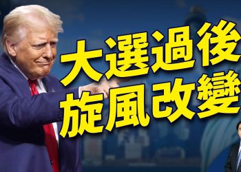 大選過後，變化刷刷岀现，是什么呢？｜2024美國大選｜方偉時間 11.07.2024