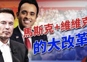 馬斯克和微微克執掌的DOGE部，發佈行動方案！｜2024美國大選｜方偉時間 ｜ 11.25.2024
