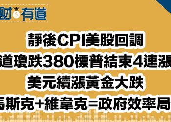 靜後CPI美股回調/道瓊跌380標普結束4連漲/美元續漲黃金大跌/馬斯克+維韋克=政府效率局！