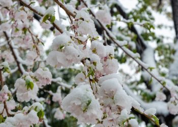 大雪過後，如何驅趕寒氣保持溫暖？