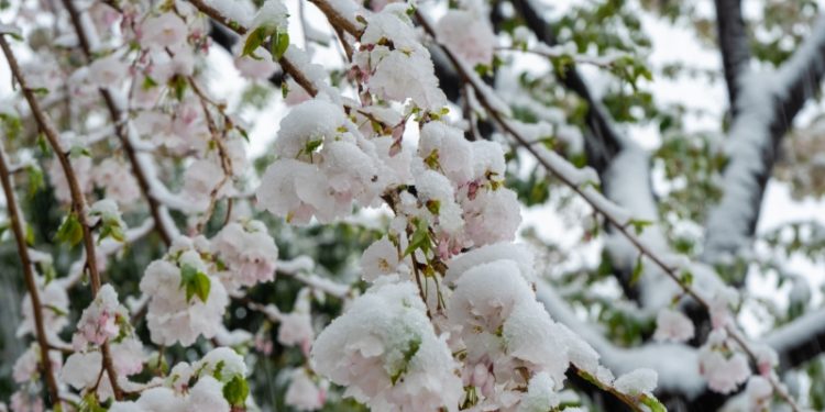 下雪天氣。（Photo AC）
