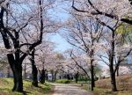 希望之聲 - FM96.1 灣區台
