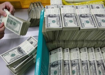 每人$5000?!川普政府效率部省下的錢或將退給納稅人