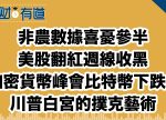 希望之聲 - FM96.1 灣區台