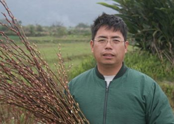 糧食蔬菜不再有小時候的味道，到底是因為什麼？