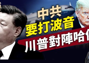 關稅戰蔓延到波音?川普逼藤校改方向，稀土很稀罕嗎？馬斯克心裡有數！特斯拉自動駕駛，你感覺如何？｜川普｜關稅戰｜每日美國新聞｜方偉時間 04.15.2025