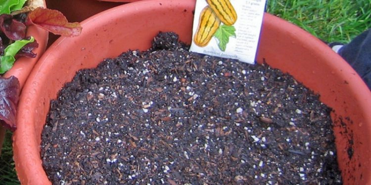 potting soil。（維基百科）