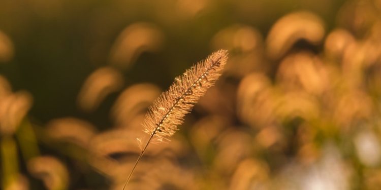 戶外。(Photo AC)